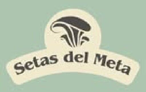 Logo Setas del Meta